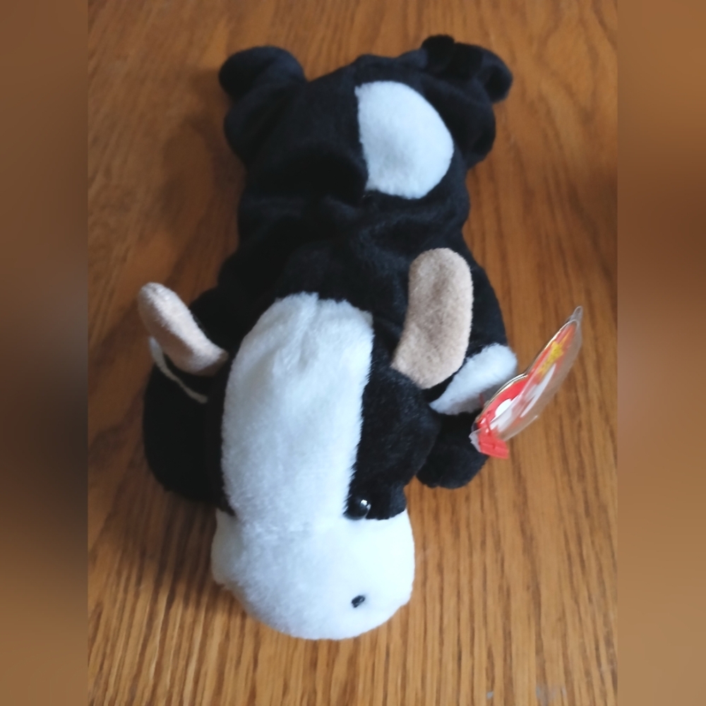 “Daisy” the Cow
